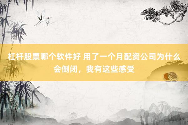杠杆股票哪个软件好 用了一个月配资公司为什么会倒闭，我有这些感受