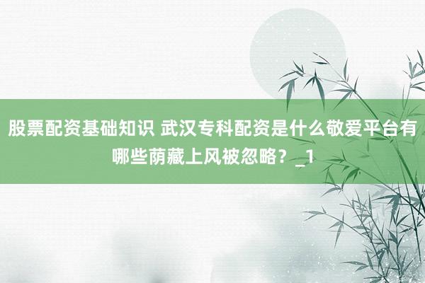股票配资基础知识 武汉专科配资是什么敬爱平台有哪些荫藏上风被忽略？_1