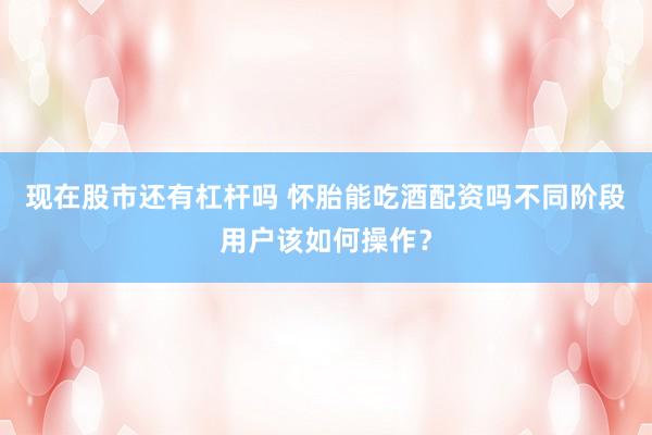 现在股市还有杠杆吗 怀胎能吃酒配资吗不同阶段用户该如何操作？
