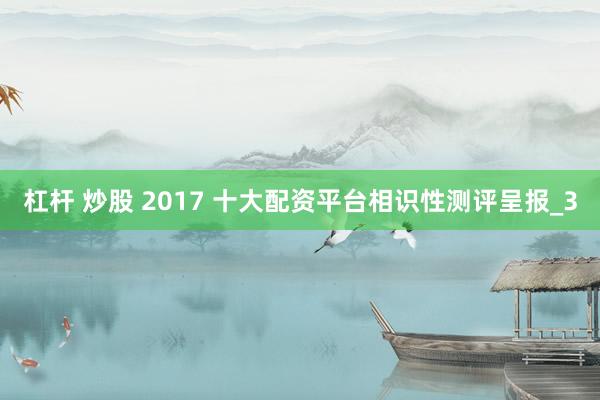 杠杆 炒股 2017 十大配资平台相识性测评呈报_3