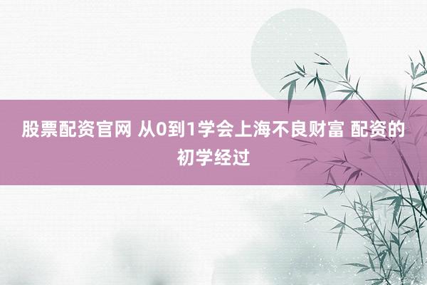 股票配资官网 从0到1学会上海不良财富 配资的初学经过