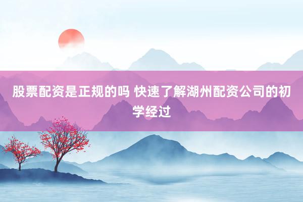 股票配资是正规的吗 快速了解湖州配资公司的初学经过