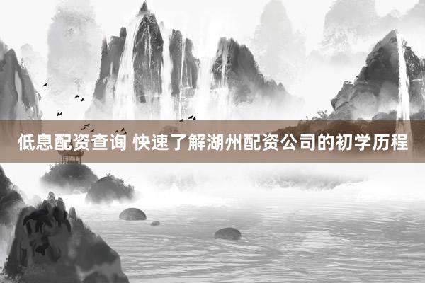 低息配资查询 快速了解湖州配资公司的初学历程